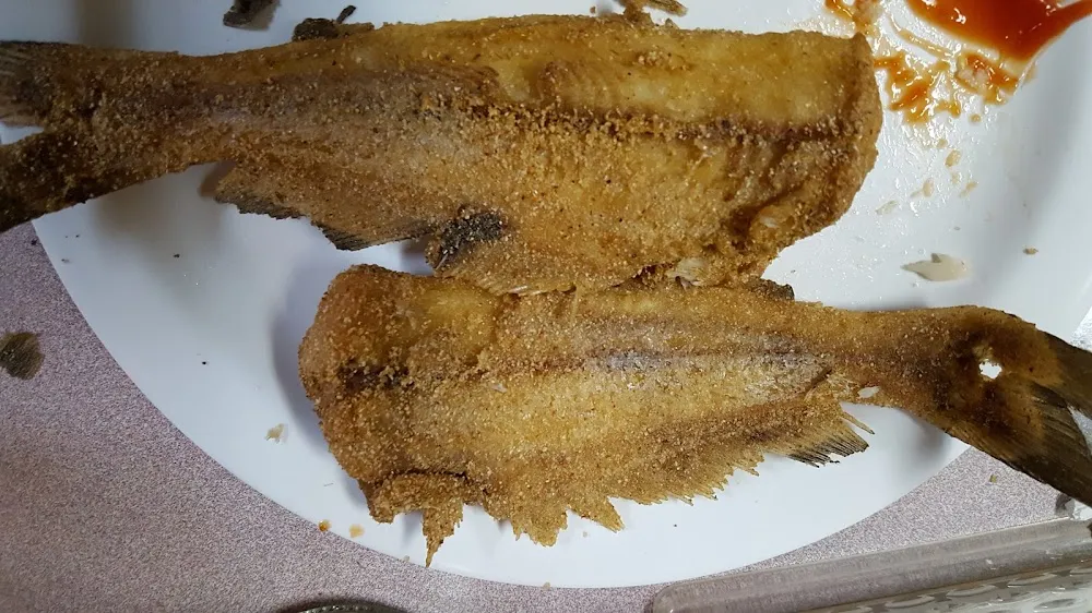 Fresh Catfish